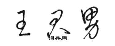 駱恆光王君男草書個性簽名怎么寫