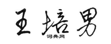 駱恆光王培男行書個性簽名怎么寫