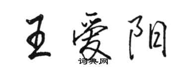 駱恆光王愛陽行書個性簽名怎么寫