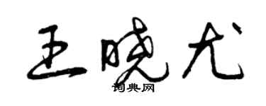 曾慶福王曉尤草書個性簽名怎么寫