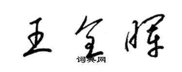 梁錦英王全暉草書個性簽名怎么寫