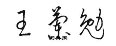 駱恆光王蘭勉草書個性簽名怎么寫