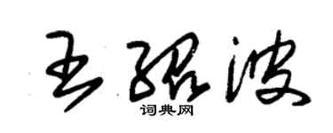 朱錫榮王紹波草書個性簽名怎么寫