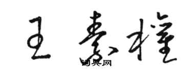 駱恆光王素權草書個性簽名怎么寫