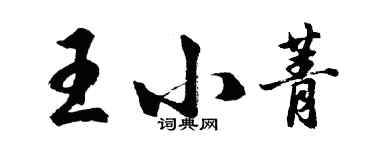 胡問遂王小菁行書個性簽名怎么寫