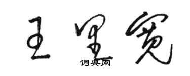 駱恆光王里寬草書個性簽名怎么寫