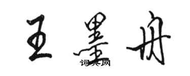 駱恆光王墨舟行書個性簽名怎么寫