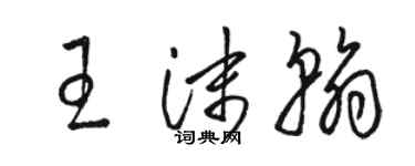 駱恆光王沫翰草書個性簽名怎么寫