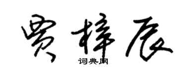 朱錫榮賈梓辰草書個性簽名怎么寫