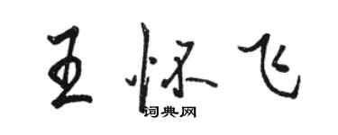 駱恆光王懷飛行書個性簽名怎么寫