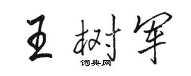 駱恆光王樹軍行書個性簽名怎么寫