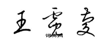 梁錦英王霓慶草書個性簽名怎么寫