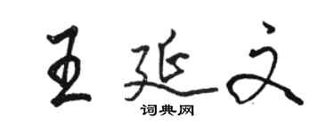 駱恆光王延文行書個性簽名怎么寫