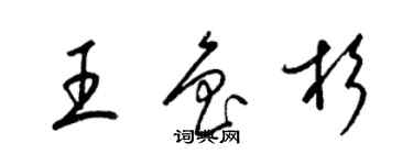 梁錦英王魯杉草書個性簽名怎么寫