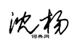 朱錫榮沈楊草書個性簽名怎么寫