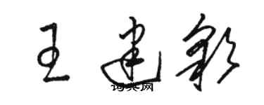 駱恆光王建彩草書個性簽名怎么寫