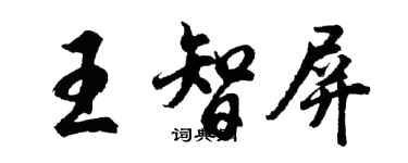 胡問遂王智屏行書個性簽名怎么寫