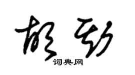 朱錫榮胡斯草書個性簽名怎么寫