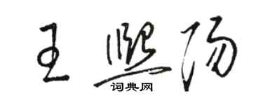 駱恆光王熙陽草書個性簽名怎么寫