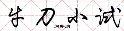 朱錫榮牛刀小試草書怎么寫