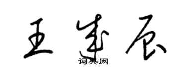 梁錦英王成辰草書個性簽名怎么寫