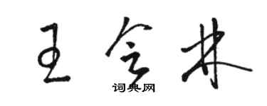 駱恆光王會林草書個性簽名怎么寫