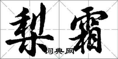 胡問遂梨霜行書怎么寫