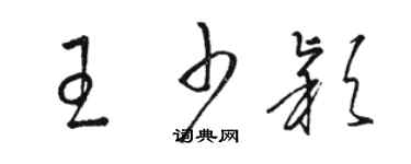 駱恆光王少穎草書個性簽名怎么寫