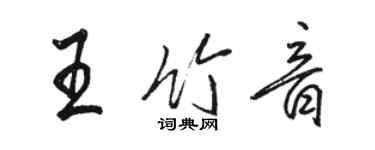 駱恆光王竹音行書個性簽名怎么寫