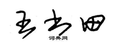 朱錫榮王書田草書個性簽名怎么寫