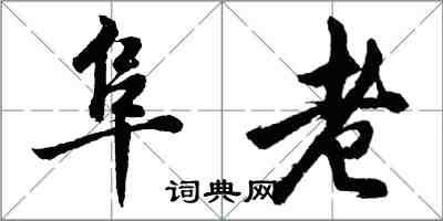 胡問遂阜老行書怎么寫