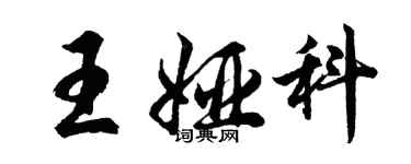 胡問遂王婭科行書個性簽名怎么寫