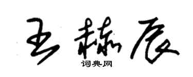 朱錫榮王赫辰草書個性簽名怎么寫