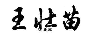 胡問遂王壯苗行書個性簽名怎么寫