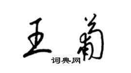 梁錦英王葡草書個性簽名怎么寫