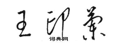 駱恆光王印蘭草書個性簽名怎么寫