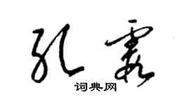 梁錦英孔霞草書個性簽名怎么寫