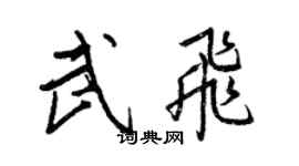 王正良武飛行書個性簽名怎么寫
