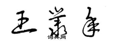 曾慶福王叢年草書個性簽名怎么寫