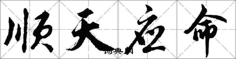 胡問遂順天應命行書怎么寫