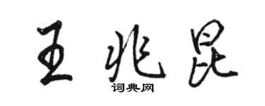 駱恆光王兆昆行書個性簽名怎么寫