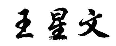 胡問遂王星文行書個性簽名怎么寫