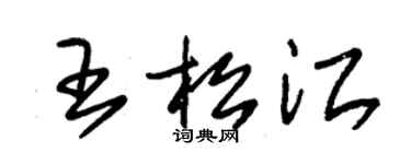 朱錫榮王松江草書個性簽名怎么寫
