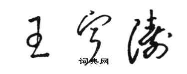 駱恆光王寧濤草書個性簽名怎么寫