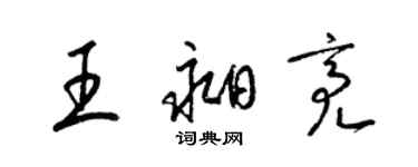 梁錦英王昶亮草書個性簽名怎么寫