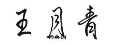 駱恆光王月青行書個性簽名怎么寫