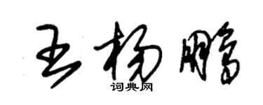 朱錫榮王楊鵬草書個性簽名怎么寫