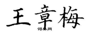 丁謙王章梅楷書個性簽名怎么寫