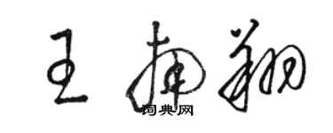 駱恆光王南翔草書個性簽名怎么寫