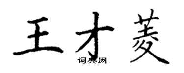 丁謙王才菱楷書個性簽名怎么寫